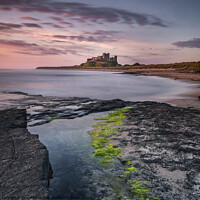 Buy canvas prints of Dawn Light, Bamburgh Castle, Northumberland  by Tony Gaskins