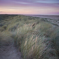 Buy canvas prints of Light on the Dunes, Lincolnshire  by Tony Gaskins