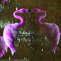 Buy canvas prints of Purple flamingo by Jacqueline Jones