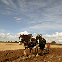 Buy canvas prints of Working the land. by Glyn Evans