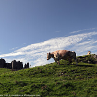 Buy canvas prints of Longhorn Cattle at Carreg Cennen. by Glyn Evans