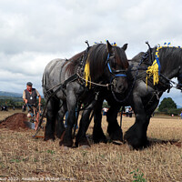 Buy canvas prints of Ploughing Championship. by Glyn Evans