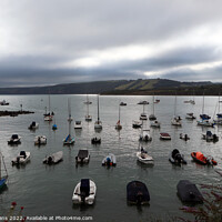 Buy canvas prints of New Quay Harbour, Cardigan. by Glyn Evans