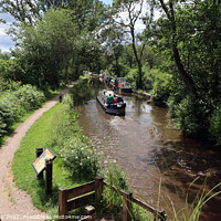Buy canvas prints of Coming into Goyte Wharf, Abergavenny by Glyn Evans