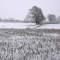 Buy canvas prints of Winters day in Cowbridge by Glyn Evans
