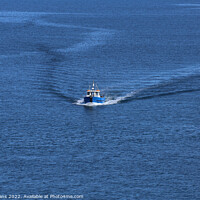Buy canvas prints of Ferry approaching Skomer Island by Glyn Evans