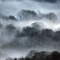 Buy canvas prints of Winters morning. by Glyn Evans