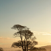 Buy canvas prints of Early morning. by Glyn Evans