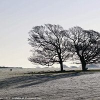 Buy canvas prints of Winters Morning. by Glyn Evans