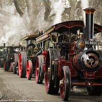 Buy canvas prints of  Traction Engine Parade by Glyn Evans