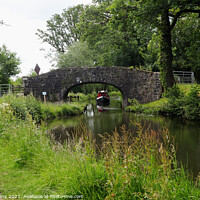 Buy canvas prints of Cruising along the canal. by Glyn Evans