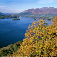 Buy canvas prints of Derwent water in autumn, Lake District, Cumbria, UK by Geraint Tellem ARPS