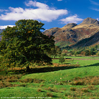 Buy canvas prints of Looking towards Langdale Pikes, Lake District, Cumbria, UK by Geraint Tellem ARPS