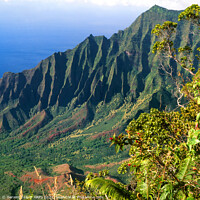 Buy canvas prints of Cliffs at Na Pali coast, Kauai, Hawaii, USA by Geraint Tellem ARPS