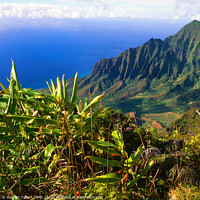 Buy canvas prints of Cliffs at Na Pali coast, Kauai, Hawaii, USA by Geraint Tellem ARPS