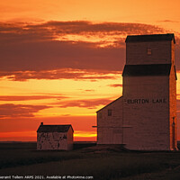 Buy canvas prints of Grain elevator at sunset, Saskatchewan, Canada by Geraint Tellem ARPS