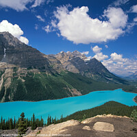 Buy canvas prints of Peyto Lake, Banff National Park, Alberta, Canada by Geraint Tellem ARPS