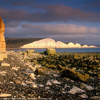 Buy canvas prints of Seven Sisters from Cuckmere Haven, East Sussex, England, UK by Geraint Tellem ARPS