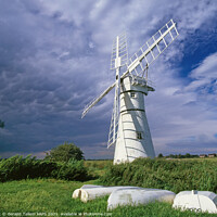 Buy canvas prints of Thurne Mill and storm clouds, Norfolk Broads, England, UK by Geraint Tellem ARPS