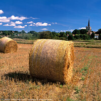 Buy canvas prints of Hay Bales, near Witham, Kent by Geraint Tellem ARPS