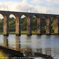 Buy canvas prints of Royal Border Bridge, Berwick upon Tweed, Northumberland, UK by Geraint Tellem ARPS