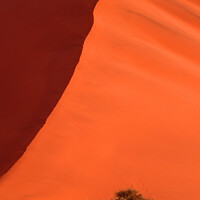 Buy canvas prints of Dune 45 Sossusvlei, Namibia, Africa by Geraint Tellem ARPS