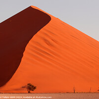 Buy canvas prints of Dune 45 Sossusvlei, Namibia, Africa by Geraint Tellem ARPS
