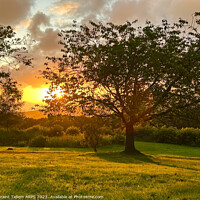 Buy canvas prints of Sunset from Bedford Road, Cefn Cribwr, Bridgend, South Wales by Geraint Tellem ARPS