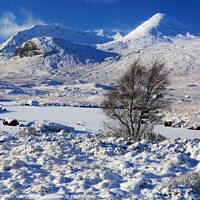 Buy canvas prints of Rannoch Moor in winter snow, Highland, Scotland, UK by Geraint Tellem ARPS