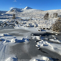 Buy canvas prints of Rannoch Moor in winter, Highland, Scotland by Geraint Tellem ARPS