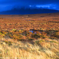 Buy canvas prints of Moorland, Sutherland, Northern Scotland UK by Geraint Tellem ARPS
