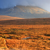 Buy canvas prints of Mountain and moorland, Sutherland, Northern Scotland by Geraint Tellem ARPS