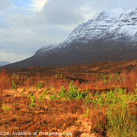 Buy canvas prints of Liathach and Glen Torridon, Highland, Scotland by Geraint Tellem ARPS