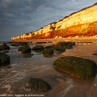 Buy canvas prints of Midsummer evening sunlight on cliffs at Hunstanton, Norfolk, England, UK by Geraint Tellem ARPS