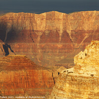 Buy canvas prints of Evening light on cliffs, Grand Canyon, Arizona, USA by Geraint Tellem ARPS