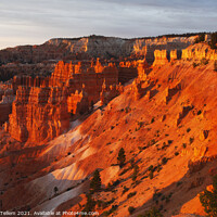Buy canvas prints of Bryce Canyon from Sunrise Point, early summer morning light by Geraint Tellem ARPS