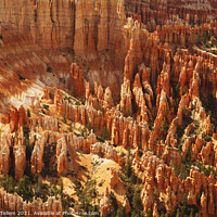 Buy canvas prints of Bryce Canyon from Inspiration Point, Utah, USA by Geraint Tellem ARPS