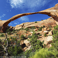 Buy canvas prints of Landscape Arch, Arches National Park, Utah, USA by Geraint Tellem ARPS