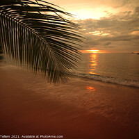 Buy canvas prints of Sunset from Holetown, west coast, Barbados by Geraint Tellem ARPS