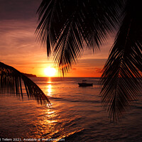 Buy canvas prints of Sunset, St Lucia, Caribbean by Geraint Tellem ARPS