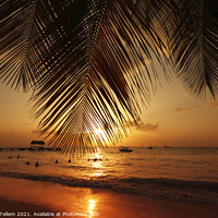 Buy canvas prints of Sunset, Pigeon Point, Tobago, Caribbean by Geraint Tellem ARPS