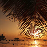 Buy canvas prints of Sunset from Pigeon Point, Tobago, Caribbean by Geraint Tellem ARPS