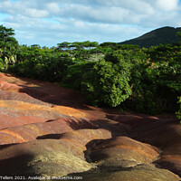 Buy canvas prints of Chamarel Coloured Earth, (Terres de Couleurs de Chamarel), Mauritius by Geraint Tellem ARPS