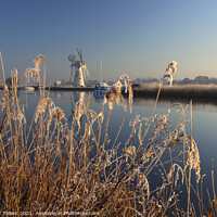 Buy canvas prints of Early winter's morning,Thurne Mill and River Thurne, Norfolk Broads, UK by Geraint Tellem ARPS