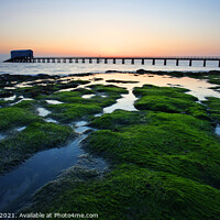 Buy canvas prints of Bembridge Lifeboat Station and shoreline at dawn, Isle of Wight, UK by Geraint Tellem ARPS