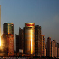 Buy canvas prints of Shanghai skyline, China by Geraint Tellem ARPS