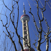 Buy canvas prints of Oriental Pearl TV Tower, Shanghai, China by Geraint Tellem ARPS