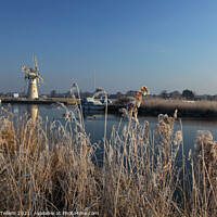 Buy canvas prints of Thurne Mill and river Thurne, winter morning, Norfolk Broads, UK by Geraint Tellem ARPS