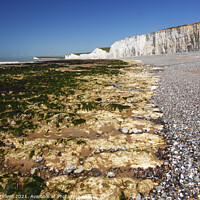 Buy canvas prints of Seven Sisters from the beach at Birling Gap, East Sussex, England, UK by Geraint Tellem ARPS