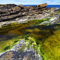 Buy canvas prints of Rock Pool, near Brough Head, West Mainland, Orkney Islands, UK by Geraint Tellem ARPS